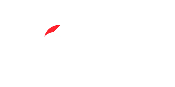 Black Armor Window Films